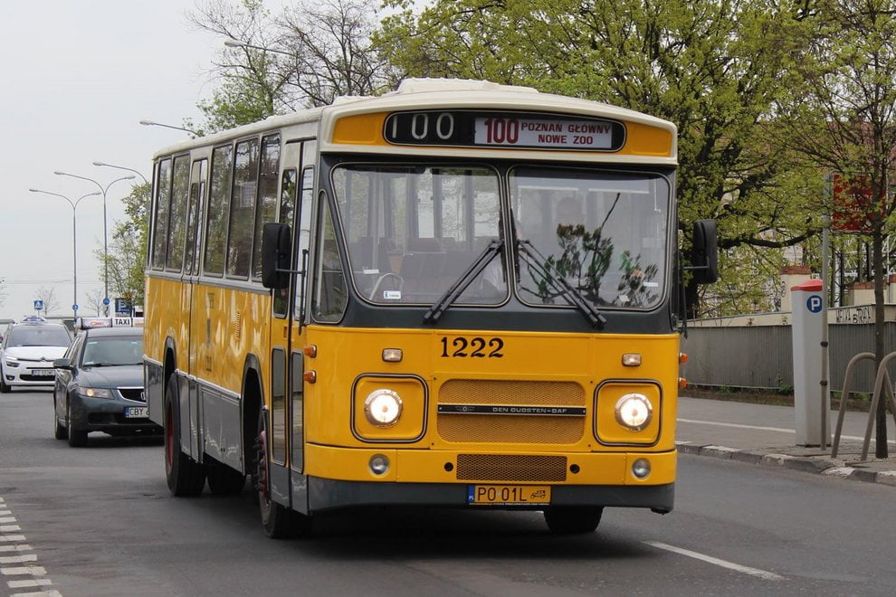 Linie turystyczne: w weekend zapraszamy na przejażdżki historycznymi tramwajami i autobusami  Foto: materiały prasowe / MPK Poznań