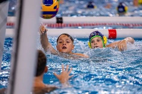 Splashball Festiwal  Foto: lepszyPOZNAN.pl / Piotr Rychter
