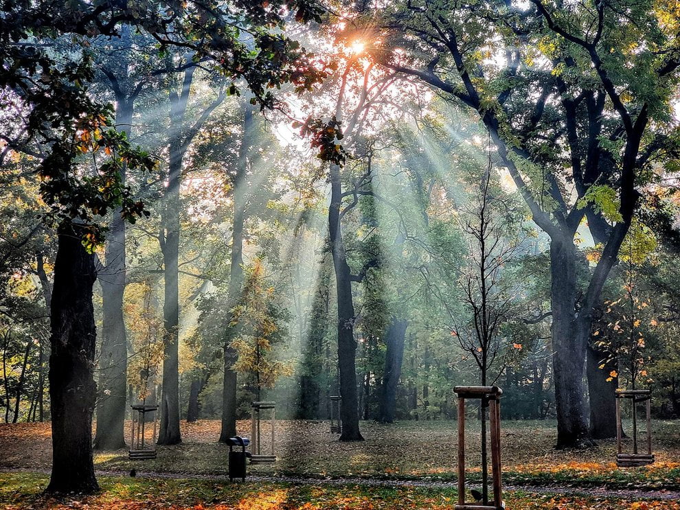 Park 10.2024  Foto: S21 / lepszyPOZNAN