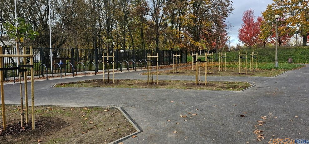 Zielen park Kasprowicza Foto: UMP Zielen park Kasprowicza  Foto: UMP