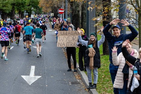 LOTTO 24. Poznań Maraton  Foto: lepszyPOZNAN.pl / Piotr Rychter