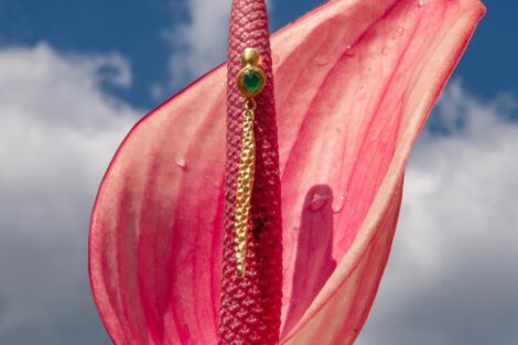 Aleksandra Przybysz (3)  Foto: 