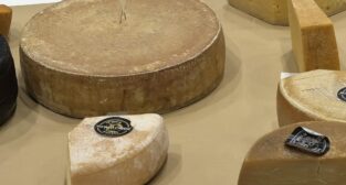 Siwy Kazik - Serowarnia Golęczewo Foto: Serowarnia Golęczewo Siwy Kazik - Serowarnia Golęczewo Foto: Serowarnia Golęczewo