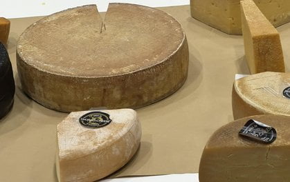 Siwy Kazik - Serowarnia Golęczewo  Foto: Serowarnia Golęczewo