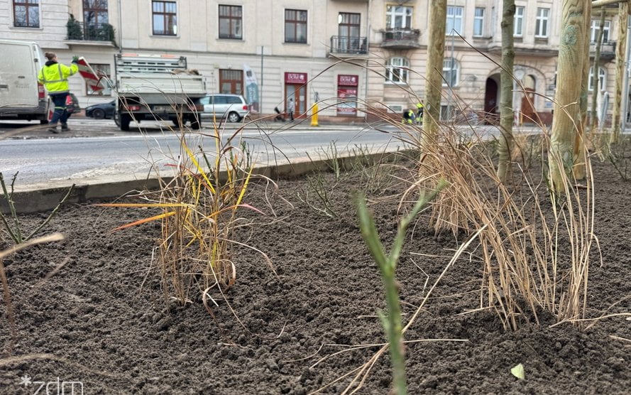 Wyspianskiego ZDM Foto: ZDM - materiały prasowe Wyspianskiego ZDM Foto: ZDM - materiały prasowe