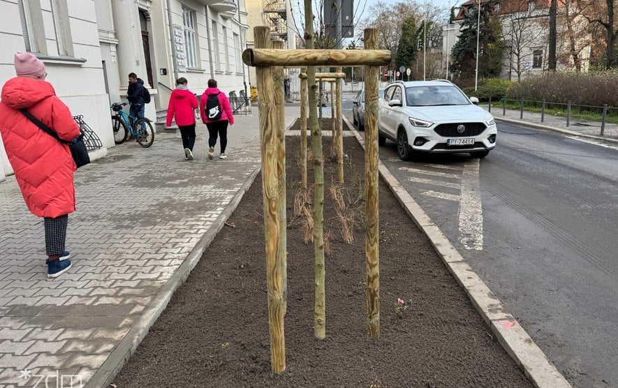 Wyspianskiego ZDM Foto: ZDM - materiały prasowe Wyspianskiego ZDM Foto: ZDM - materiały prasowe