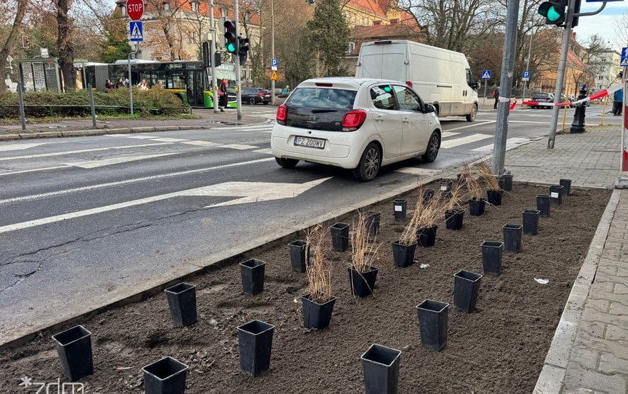 Wyspianskiego ZDM Foto: ZDM - materiały prasowe Wyspianskiego ZDM Foto: ZDM - materiały prasowe