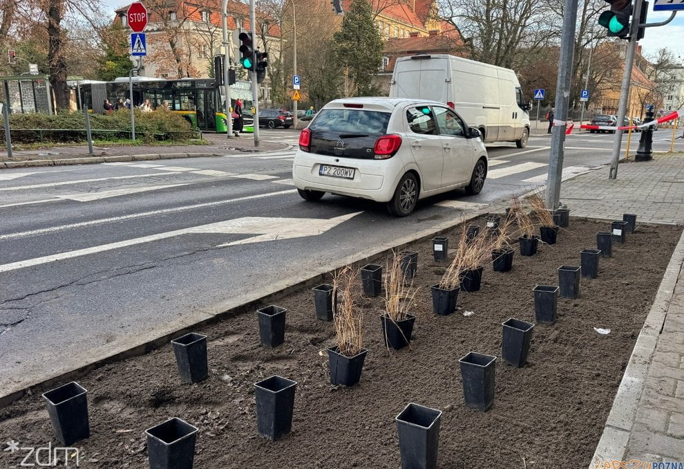 Wyspianskiego ZDM Foto: ZDM - materiały prasowe Wyspianskiego ZDM Foto: ZDM - materiały prasowe