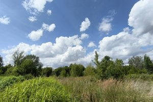 Park-sad na Łazarzu  Foto: Stowarzyszenie Sąsiedzki Łazarz