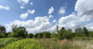 Park-sad na Łazarzu  Foto: Stowarzyszenie Sąsiedzki Łazarz