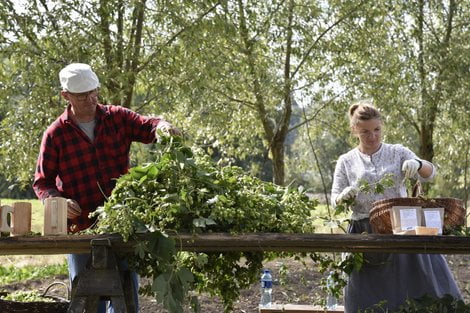 fotMJóźwikowska (44)  Foto: 