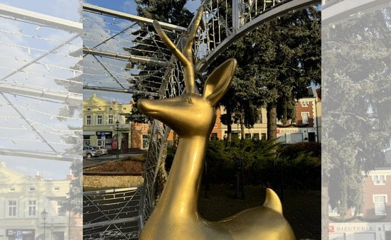 Zniszczona dekoracja świąteczna  Foto: UM Swarzędz