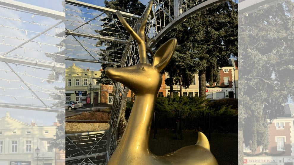 Zniszczona dekoracja świąteczna Foto: UM Swarzędz Zniszczona dekoracja świąteczna Foto: UM Swarzędz