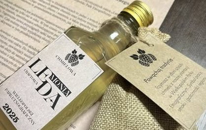 Lemoniada Chmielowa  (2)  Foto: materiały prasowe