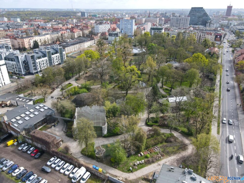 Stare ZOO  Foto: UMP / materiały prasowe