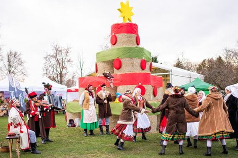 Jarmark Szreniawa Muzem (1)  Foto: materiały prasowe