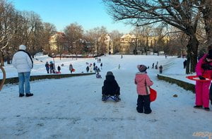 Sanki Teatralka zima  Foto: Michał Kondella / ROSM 