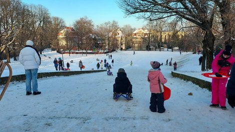Sanki Teatralka zima  Foto: Michał Kondella / ROSM 