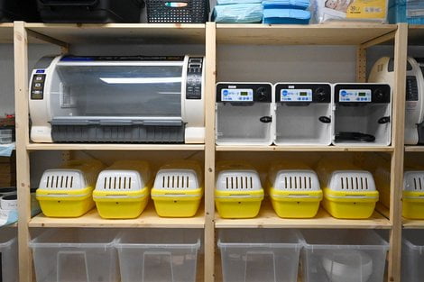 Dziki SOR (3) Foto: UMP Dziki SOR (3) Foto: UMP