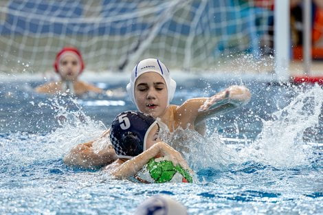 II runda Międzywojewódzkich Mistrzostw Młodzików U-13 w Wate Foto: lepszyPOZNAN.pl / Piotr Rychter II runda Międzywojewódzkich Mistrzostw Młodzików U-13 w Wate Foto: lepszyPOZNAN.pl / Piotr Rychter