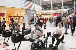 Wioslowanie WOSP avenida  Foto: materiały prasowe