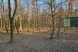 Krzyzowniki [UMP] (3)  Foto: UMP 