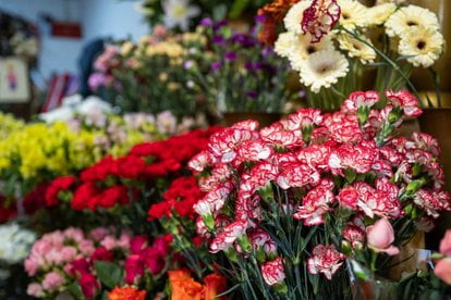 Glowna rzemioslo mapa [UMP] (3)  Foto: UMP