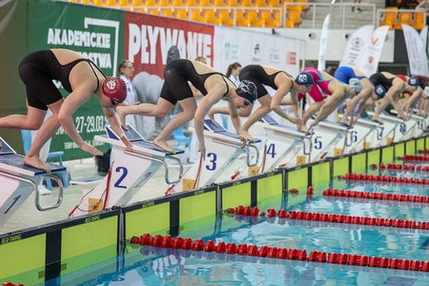Termy plywanie akademickie mistrzostwa  Foto: materiały prasowe