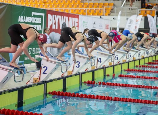Termy plywanie akademickie mistrzostwa  Foto: materiały prasowe