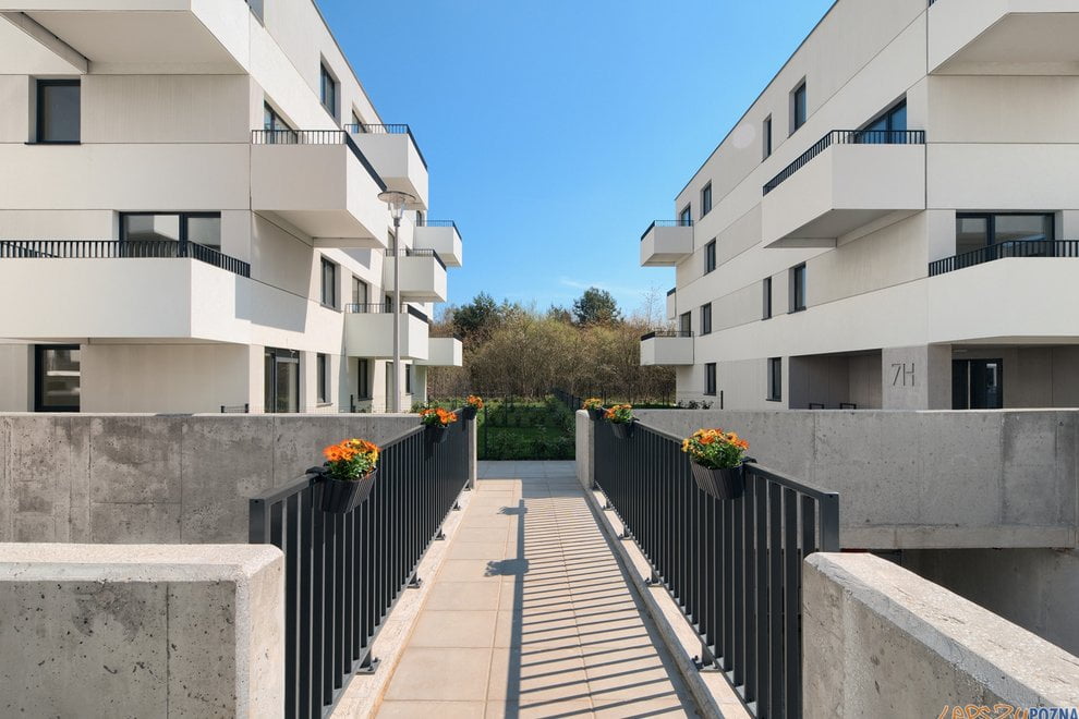 No To Naramowice  Foto: materiały prasowe