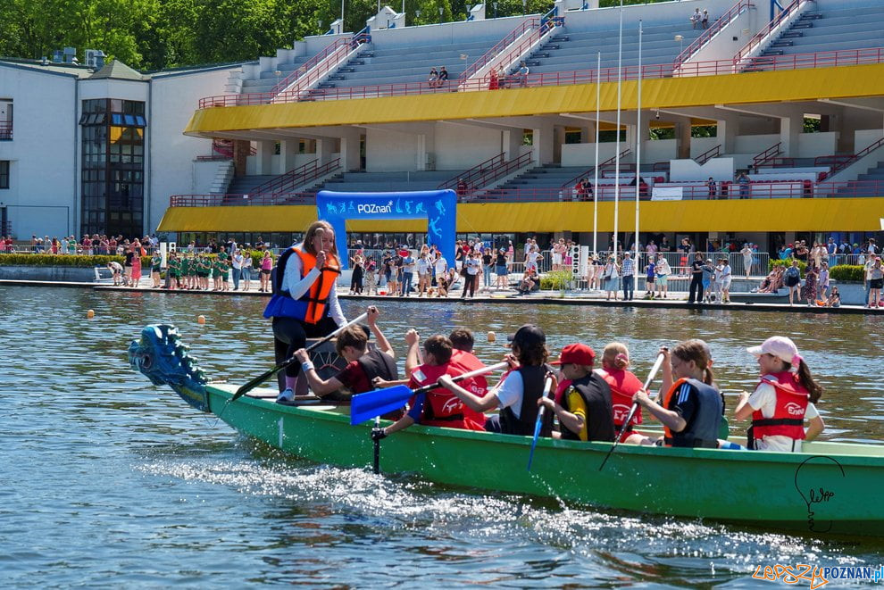 Poznańskie Dragony 2026 Foto: materiały prasowe Poznańskie Dragony 2026 Foto: materiały prasowe
