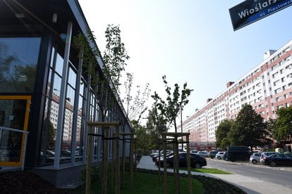 Piastowskie plywalnia otw. 9.9.19 [UMP] 14  Foto: 